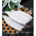 China Frozen Dosidicus Gigas Squid Seafood Supplier